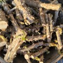 건강한 집밥 만들기 이미지