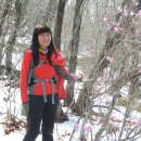 아세아세무회계 이미지