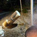 산포까사 | 울진 감성 숙소 추천 | 마당 고양이들과 힐링하는 독채 펜션 '산포까사'