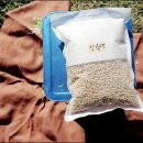 캘리그라피 A 이미지