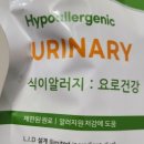 굿모닝24시동물병원 이미지