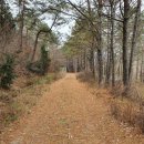 함평농장 이미지