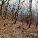 시산민박