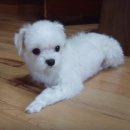 유우유우