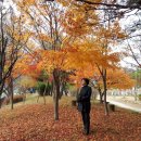 박제상기념관 이미지