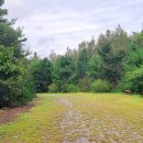 옥화자연휴양림 이미지