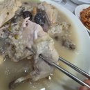 본가장수촌 | [세종맛집] 조치원삼계탕 맛집 추천, 본가장수촌 조치원점 솔직후기