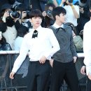 빛나는 강아지 이미지