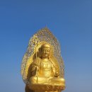 보리먹인 우리소 네이버블로그