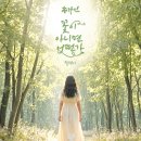 송가인 카카오 검색결과