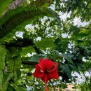 발리목욕탕 이미지