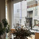 세븐일레븐 영주남산현대점 | 2025年 11月 記錄_ 바쁘다바빠 현대 생활