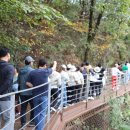 철원/고속정.한탄강 주상절리와잔도길~~30 이미지