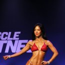 몸디자인 이미지