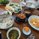 시골집오리농원 | [ 수원 광교산 ] 시골 농원 1인 10000원에 한식...제육이 공짜? 나만 알고 싶은 가성비 백반 맛집 찐 후기