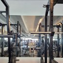 물만난오징어 | 군포) 물만난오징어 금정역점 더운날 시원한 물회 한사발 내돈내산 냠냠 후기