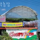 청학농장 이미지