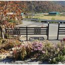 느린 오후가 있는 집 이미지