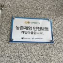 통영산들해마을 | 통영 단체숙박 숙소 산들해힐링캠프 아이들과 함께 오기 좋아요