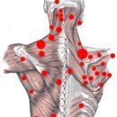 더매력GYM 이미지