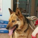 인제종합동물병원 이미지