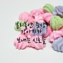 의왕동물병원 | 의왕동물병원 분리불안 케어