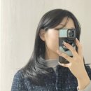 현정축사 이미지