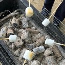 솔비호프 | 5월의 청춘