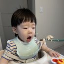 거봉어린이집 | 후기 토핑이유식 11개월 식단 기록(D+358)｜ 시판 세 끼 완밥 + 보리수 첫 도전