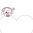 제주생면 이미지