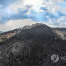 산불