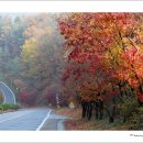 당신은 혼자가 아니 이미지