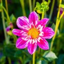 양우디에스 - 미추홀구 토금남로 30 | 양우디에스