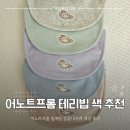 어노트프롬 테리빕 5종 후기, 색상 추천