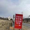 김포 전류리 오색채소 썰매장 짧지만 강력하게 놀다오기