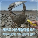 제부도 갯벌체험 꿀팁 총정리 | 박하지 꽃게 쉽게 잡은 후기(준비물·시간표)