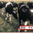 북면바로내작은도서관 이미지