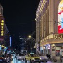 화이트사인 | 상하이| 난징동루의 화려한 네온사인 아래 잊지 못할 에너지! 난징동루 레고와 M&amp;M 월드 방문 후기