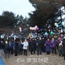 2019 해맞이행사 이미지