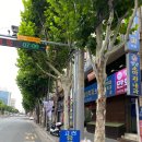 안의참마트 | 대구 남구 대명동 대명시장의 숨은 돼지국밥 노포 맛집 현풍장수국밥