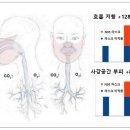 논문 번역: Is a Mask That Covers the Mouth and Nose Free Undesirable Side Effec 이미지