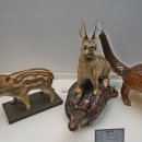 덕소자연사박물관 이미지