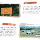 고랭지만두마을 네이버블로그