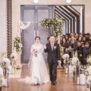 대전웨딩스냅어느멋진날 이미지