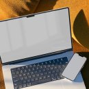 Canva로 피드 통일감을 주는 그리드 레이아웃 디자인법