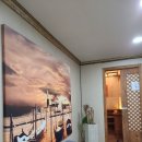 하루효소편백 이미지