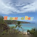 베이(BAY)7 | 하와이 여행_스노쿨링 명소 [하나우마 베이 / Hanauma Bay]