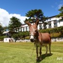 파로호느릅마을 이미지