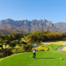 소노펠리체 컨트리클럽 델피노 이미지