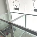 베이비숑 그루밍 이미지